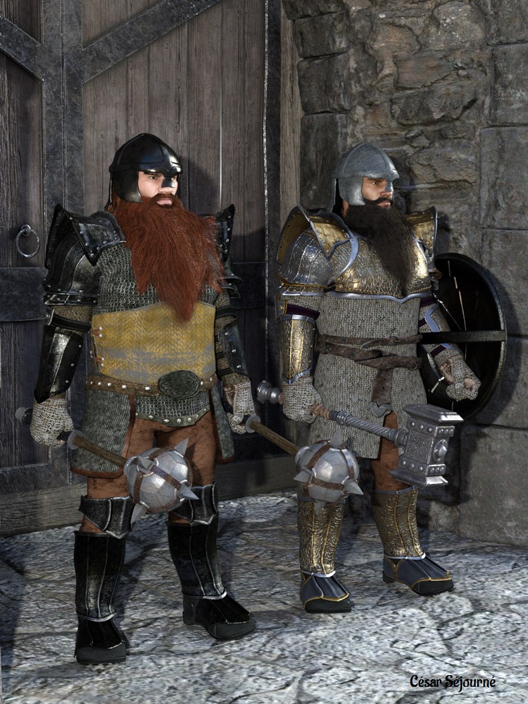 deux guerriers nains "longue barbe"