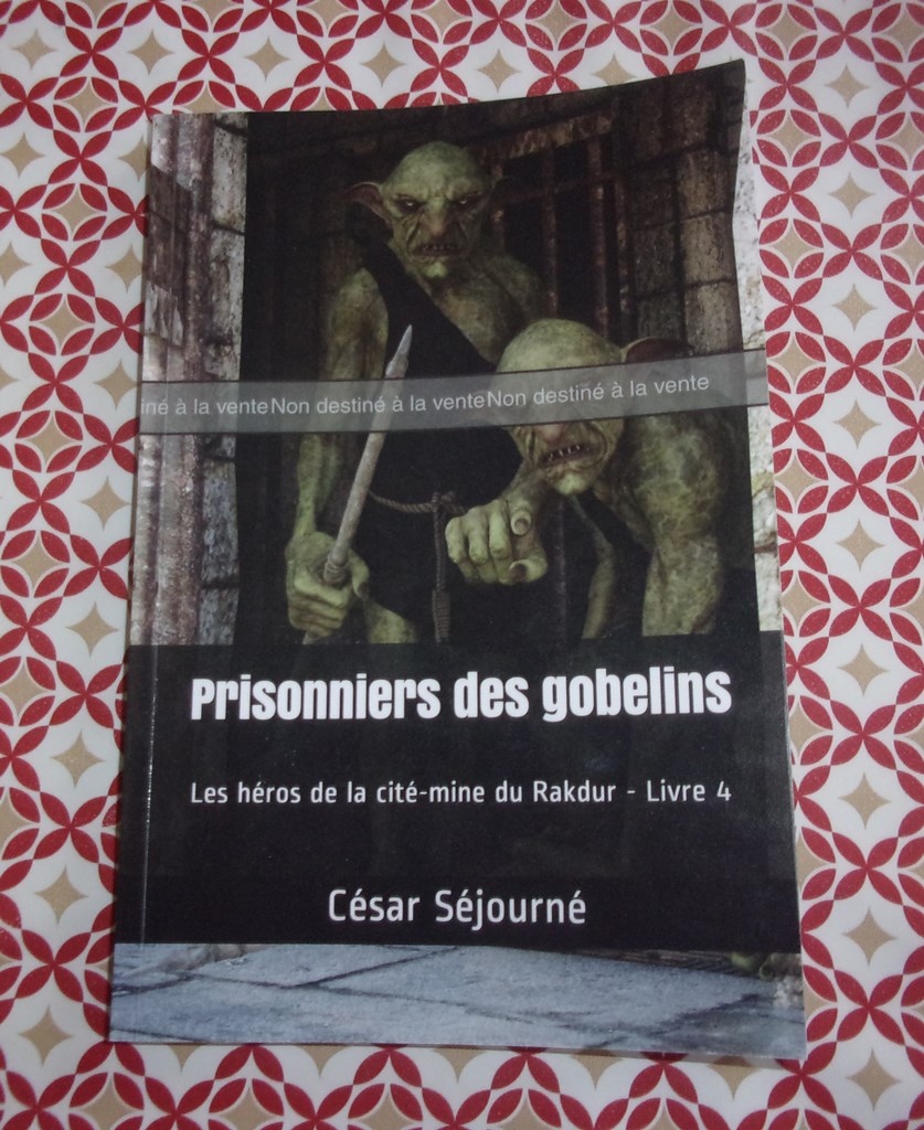 sortie prochaine du 4e tome prisonniers des gobelins