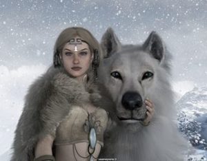 Vignette de Illustration de la Valkyrie et son loup
